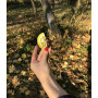 Брошка Лимончик