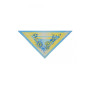 Комплект твіллі + косинка "Квіти України" світлий від Myscarf