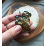 Брошка Плющ