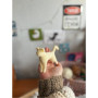 Мʼяка іграшка Котик стоячий