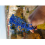 Діадема ручної роботи 