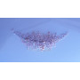 Ніжний пудровий гребінчик для волосся 