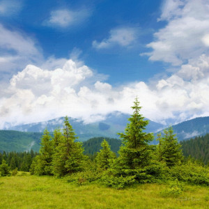 Карпатський краєвид