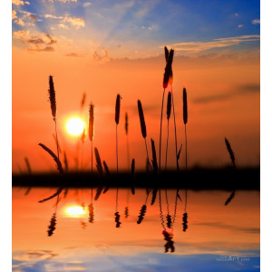 Природа