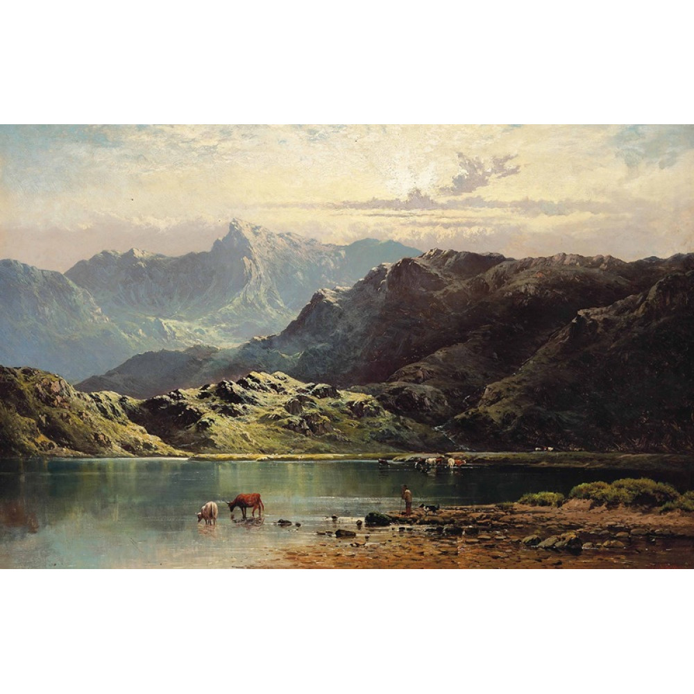 Cattle watering at the edge of a loch late afternoon