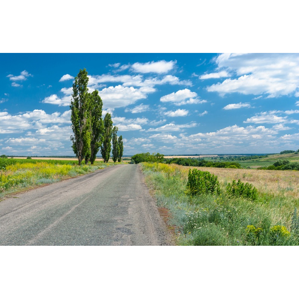 Дорогою в українське село