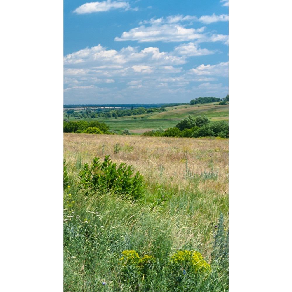 Дорогою в українське село №1